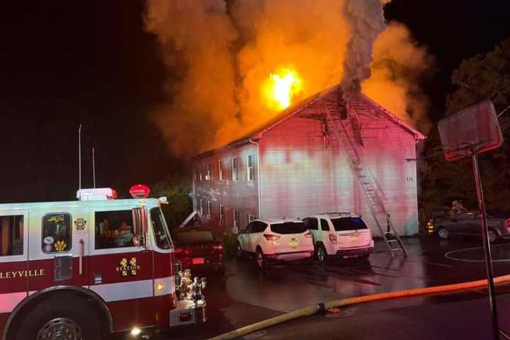 PA Teen Grabs Trampoline To Save Neighbors, Dogs From Apartment Fire