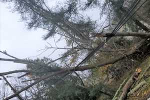 Storm With Gusty Winds Leads To Power Outages In Massachusetts