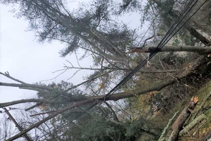 Storm With Gusty Winds Leads To Power Outages In Massachusetts