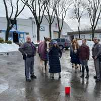 <p>A horse was out on the loose on the Northern State Parkway on Long Island.</p>