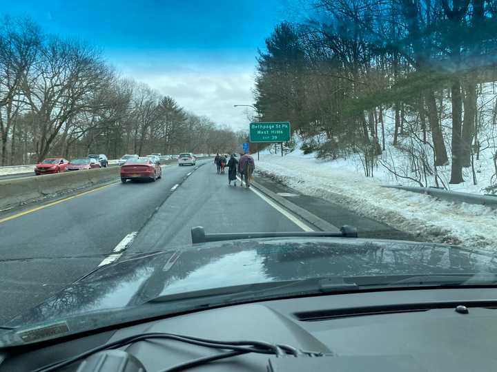 A horse was out on the loose on the Northern State Parkway on Long Island.