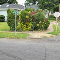 Fair Lawn Mail Carrier, 65, Hit By Pickup Driven By 18-Year-Old