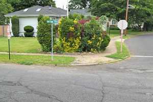 Fair Lawn Mail Carrier, 65, Hit By Pickup Driven By 18-Year-Old