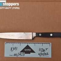 <p>The knife found at the scene.</p>