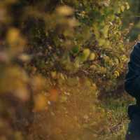 North Jersey Native Stars In Newly Released Movie 'From The Vine'