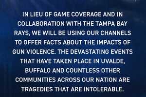 Pro Sports Teams Urge Fans To Take Action On Gun Law Reform