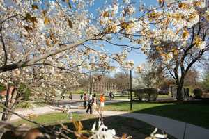 FDU Runs Session On Autistic Students' Transition To College In Teaneck