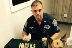 Northern Westchester Teen, Others Rally Behind Cancer-Stricken Police Dog