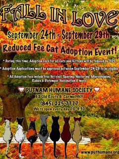 Adopt A Pet For Reduced Fee At Putnam Humane Society 