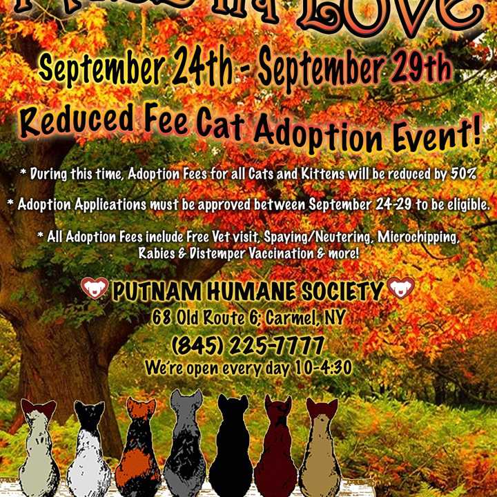 The Putnam Humane Society will hold a reduced-fee adoption event at their office from Sept. 24 to 29. 