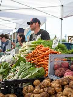 Southeast Vegetable Farm Stand Destroyed By Car Crash