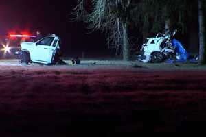 Fatal Crash ID: Police Release New Details After SUV Crashes Into Tree In Region