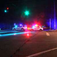 <p>Police searching the area of the crash.</p>