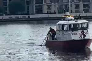 Body Pulled From Water In Baltimore: Fire Officials (DEVELOPING)