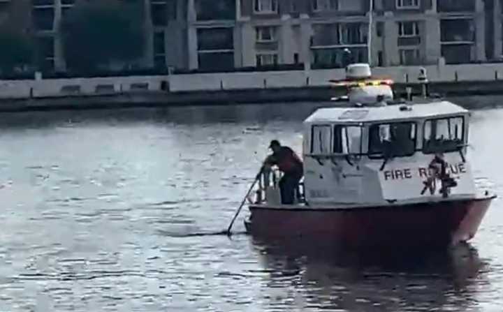 A body was found in the Inner Harbor in Baltimore (not pictured)