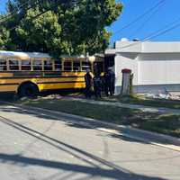 <p>The bus crashed near Forestville Road and Stewart Road.</p>