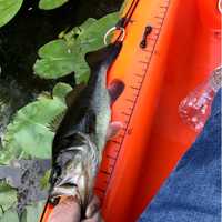 <p>The 10-foot Emotion kayak has a hand painted ruler on the left side and fishing rod holders both in front of and behind the seat.</p>