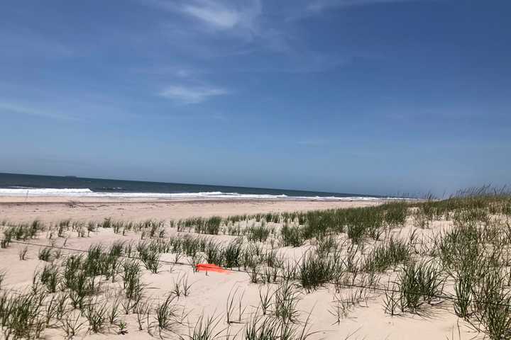 Emergency Federal Action Approved To Fix Coastal Damage On Fire Island