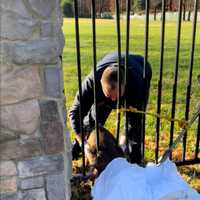 <p>The deer was rescued by a Prince George&#x27;s County firefighter.</p>