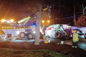 Dog Dies In Medfield Rollover Crash Involving Doggie Daycare Van: Officials