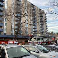 Small Dog Knocks Over Smoldering Sage, Sparks Maryland Apartment Fire: Officials