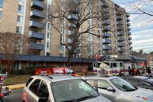 Small Dog Knocks Over Smoldering Sage, Sparks Montgomery County Apartment Fire: Officials