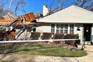 Woman Injured After Tree Falls Through Home in Laurel