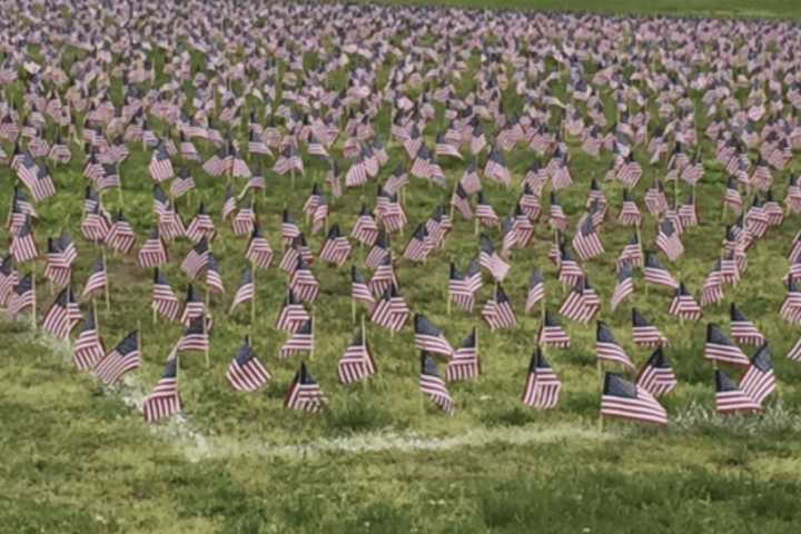 Ramsey Students Plant Field Of Flags To Honor Fallen Soldiers