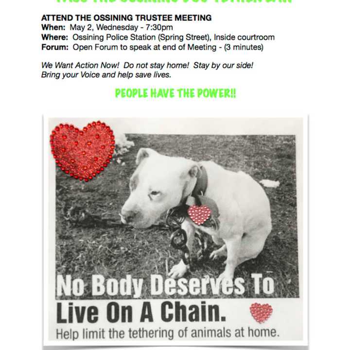 A flyer being circulated in the Ossining area promoting a &quot;tether law&quot; that would bar neglect of pets.