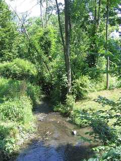 DEC Probes Source Of Oil Spill In Vassar College Stream