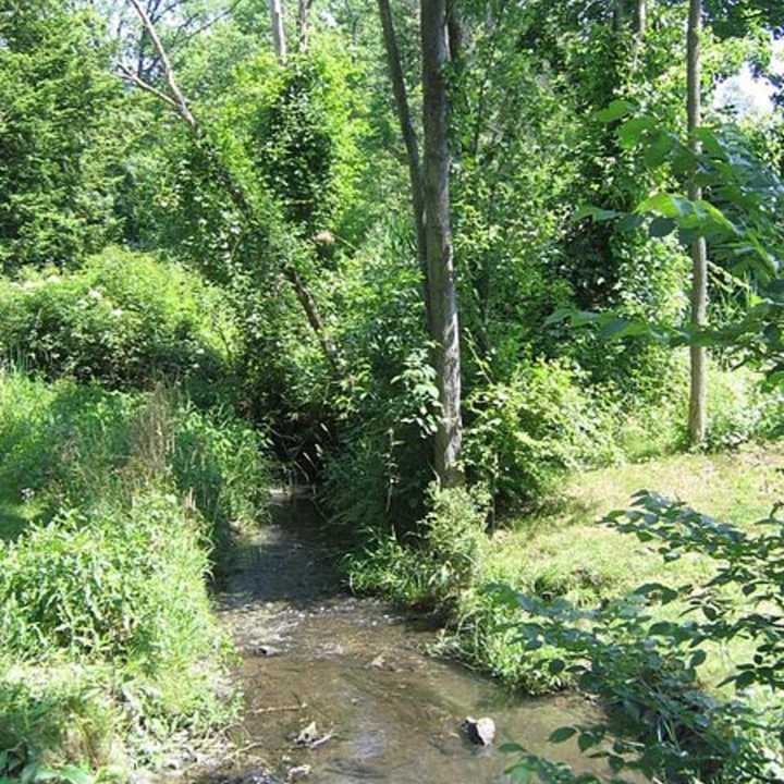 The Fonteyn Kill, a stream that flows through the Vassar College campus in Poughkeepsie, is shown at its confluence with Casperkill. The state DEC is investigating an oil spill into the Fonteyn this week.