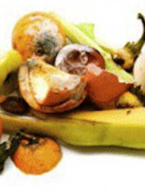 Redding Explores Starting Recycling Food Scrap Program