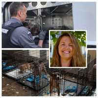 100 Animals Seized From 'Rescuers' In Horrific Northern VA Cruelty Case: Officials