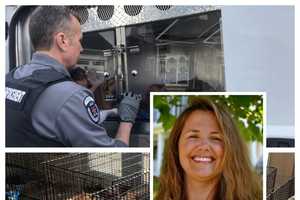 100 Animals Seized From 'Rescuers' In Horrific Northern VA Cruelty Case: Officials