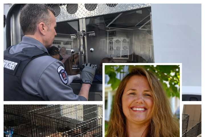 100 Animals Seized From 'Rescuers' In Horrific Northern VA Cruelty Case: Officials
