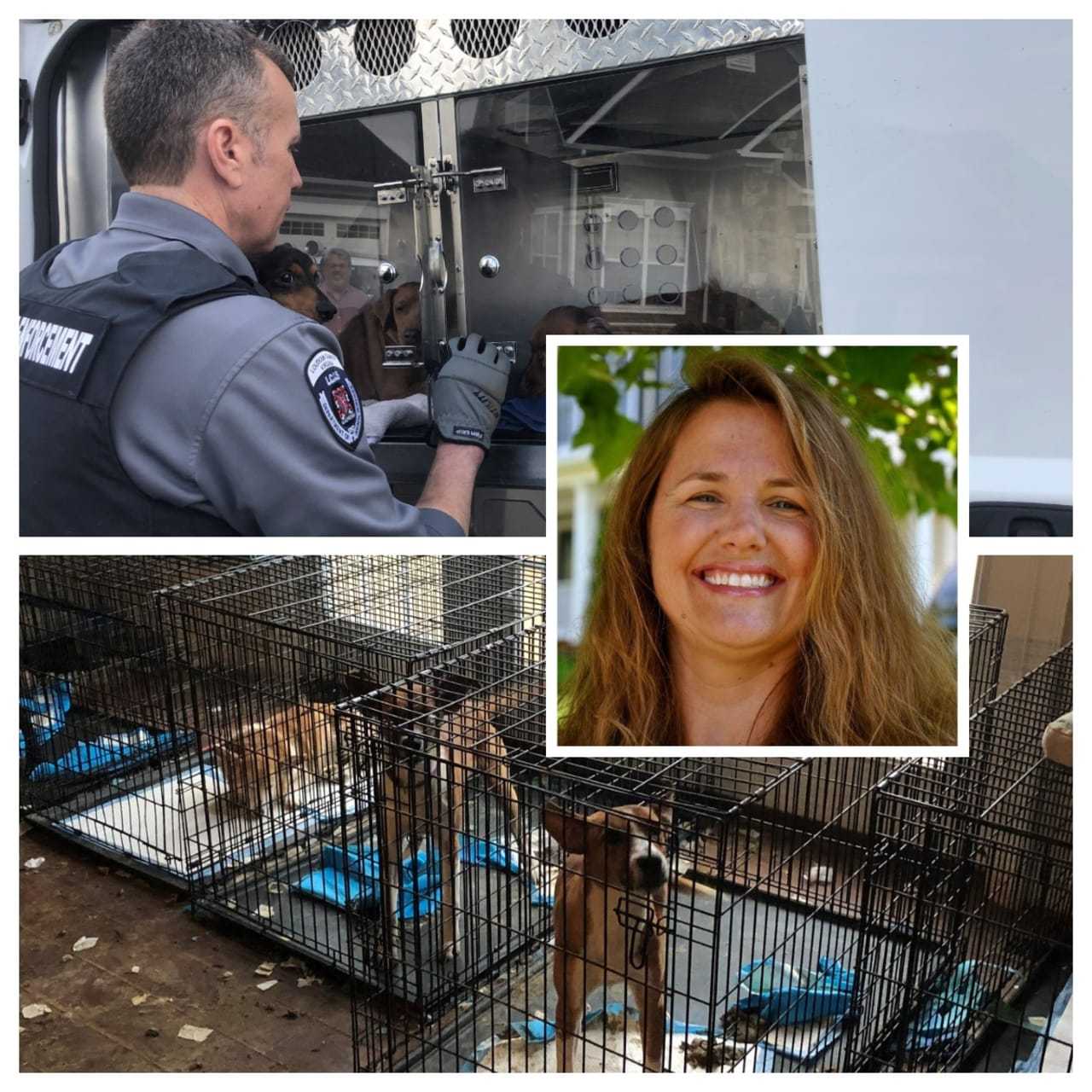 100 Animals Seized From 'Rescuers' In Horrific Northern VA Cruelty Case ...