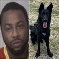 Police K-9 Gets Same Guy Three Years Later, Stafford Sheriff Says