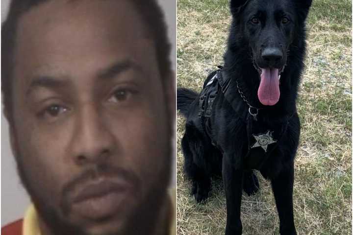 Police K-9 Gets Same Guy Three Years Later, Stafford Sheriff Says