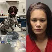 Good Boy! Police K9 Sniffs Out Cocaine, Oxy On Loudoun County Driver, Police Say