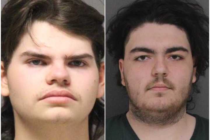 Pair Painted Swastikas, Started Fire In Various Locations Around Lacey Township: Cops