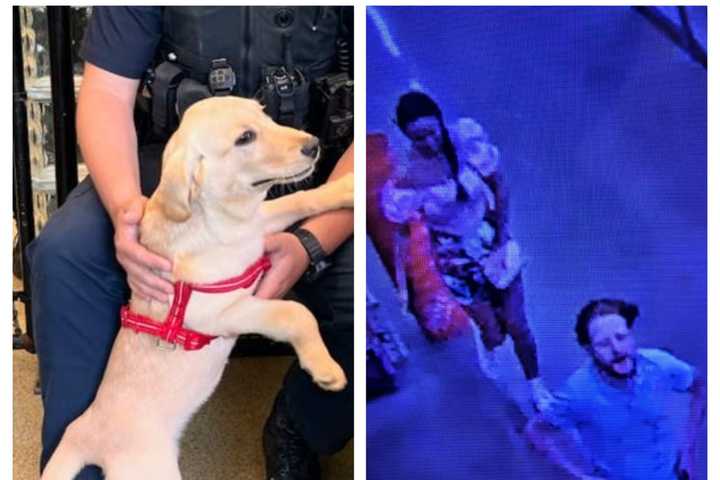 Couple Who Dumped, Ran From Feces-Covered Puppy At NJ Home Depot Face Charges
