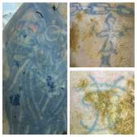 Body With Grim Reaper Tattoo Found In Montgomery County Creek