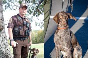 Feliz Navi-Dog! Missing Child Tracked Down By VA Sheriff's Brand New K-9 Officer On Christmas
