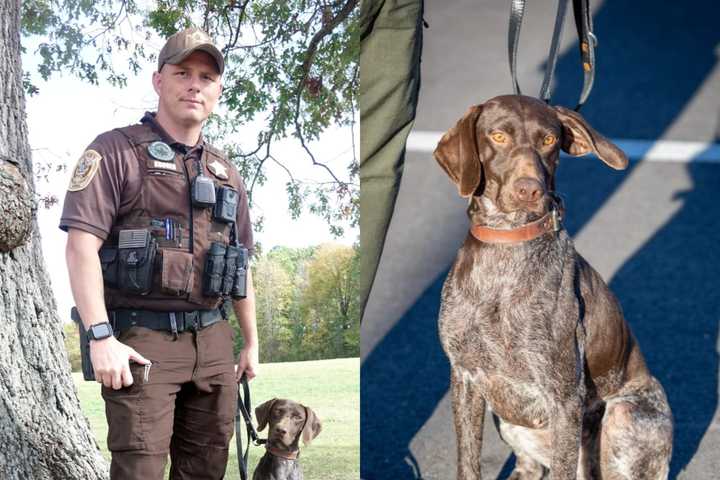 Feliz Navi-Dog! Missing Child Tracked Down By VA Sheriff's Brand New K-9 Officer On Christmas