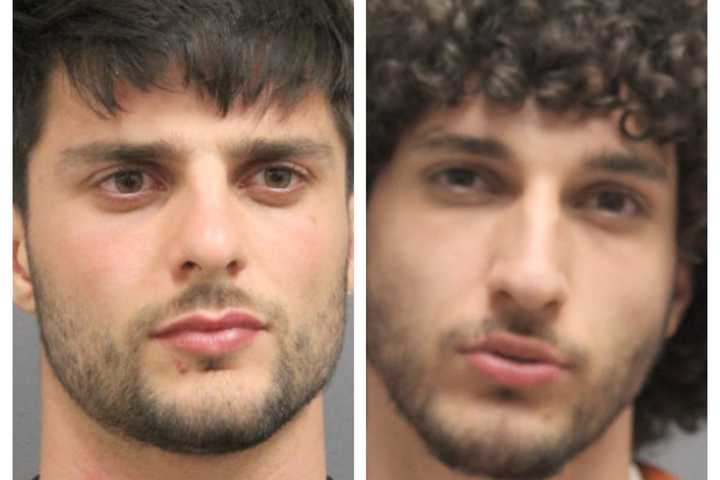 Dynamic Duo Nabbed In Violent Virginia Road Rage Incident: Police