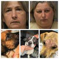 <p>Aimee Lonczak, 49, and Michele Nycz, 58, say that they are animal rescuers.</p>