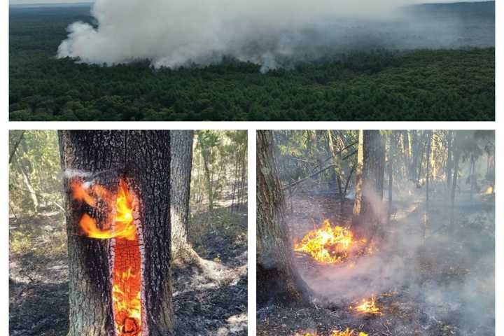 Fires Burns More Than 2 Dozen Acres In Marlborough: Firefighters