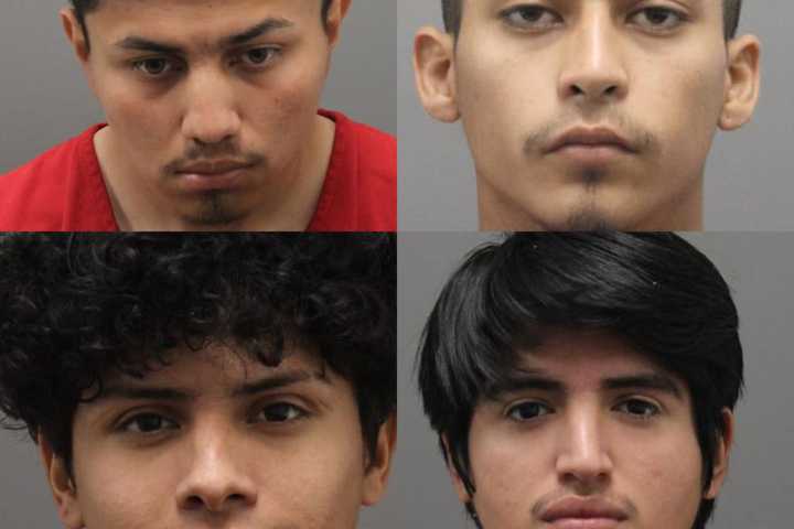 MS-13 Gangsters, Undocumented Individual Charged In Leesburg Crime Spree: Police