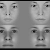 Brain Acts Like A Time Machine, Shows Images From 15 Seconds Back, New Study Says