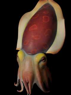 Port Chester's Clay Art Center Presents NY, NY: CLAY